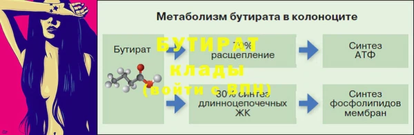 МДПВ Бородино